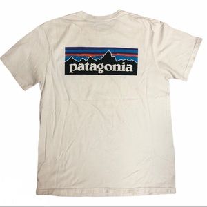 Patagonia classic logo mountain T-shirt
